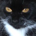 Profile picture itseemstome.bsky.social