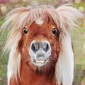 Profile picture vanessacaldera.bsky.social