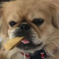 Profile picture tia-coco.bsky.social