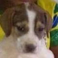 Profile picture sid480.bsky.social