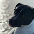 Profile picture seanby.bsky.social