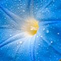 Profile picture bavurnavolt.bsky.social