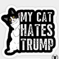 Profile picture madpussycat2438.bsky.social