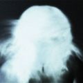 Profile picture rosewither.bsky.social