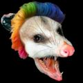 Profile picture possumpolitic.bsky.social