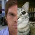 Profile picture evanio.bsky.social