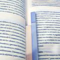 Profile picture thatreader.bsky.social