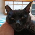 Profile picture simon49.bsky.social