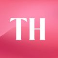 Profile picture toonhive.bsky.social