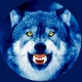 Profile picture zaferlibozkurt.bsky.social