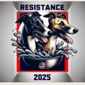 Profile picture mikeyandkhloe.bsky.social