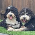 Profile picture pbmorgan.bsky.social