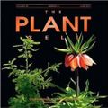 Profile picture theplantcell.bsky.social