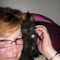 Profile picture ruthnotabot.bsky.social