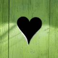 Profile picture nikosianer.bsky.social