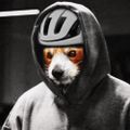 Profile picture roterpander.bsky.social