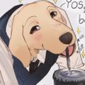 Profile picture petza.bsky.social