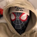 Profile picture spiderboysub.bsky.social