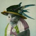 Profile picture pmorse.bsky.social