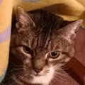 Profile picture daniel12345.bsky.social