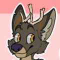 Profile picture duskybuck125.bsky.social