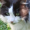 Profile picture nouvella.bsky.social