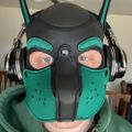Profile picture bansheethepuppy.bsky.social