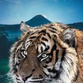 Profile picture thaddeusarjuna.bsky.social