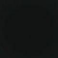Profile picture wrennak.bsky.social