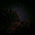 Profile picture quietlight11.bsky.social
