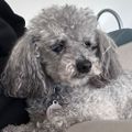 Profile picture vluyn.bsky.social