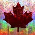 Profile picture hedy18.bsky.social