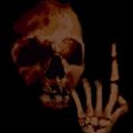 Profile picture kolgry.bsky.social