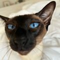 Profile picture natalieclair.bsky.social