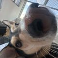Profile picture jordyball.bsky.social