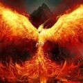 Profile picture drnobody24.bsky.social