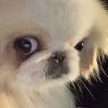 Profile picture bubblyhell.bsky.social