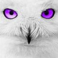 Profile picture erieewastaken.bsky.social