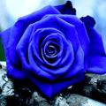 Profile picture kaxondetaxxx.bsky.social