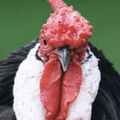 Profile picture jimijo.bsky.social