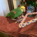 Profile picture wilbirtsjourney.bsky.social