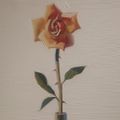 Profile picture drchellem.bsky.social