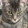 Profile picture swtjce.bsky.social