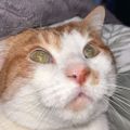 Profile picture redsecretagent.bsky.social