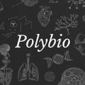 Profile picture polybiorf.bsky.social