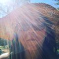 Profile picture ayeseeyou.bsky.social