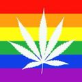 Profile picture perfumepoliticspot.bsky.social
