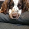 Profile picture kirstenobrien.bsky.social