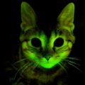 Profile picture grnfluoresceblg.bsky.social