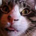 Profile picture zaamc.bsky.social